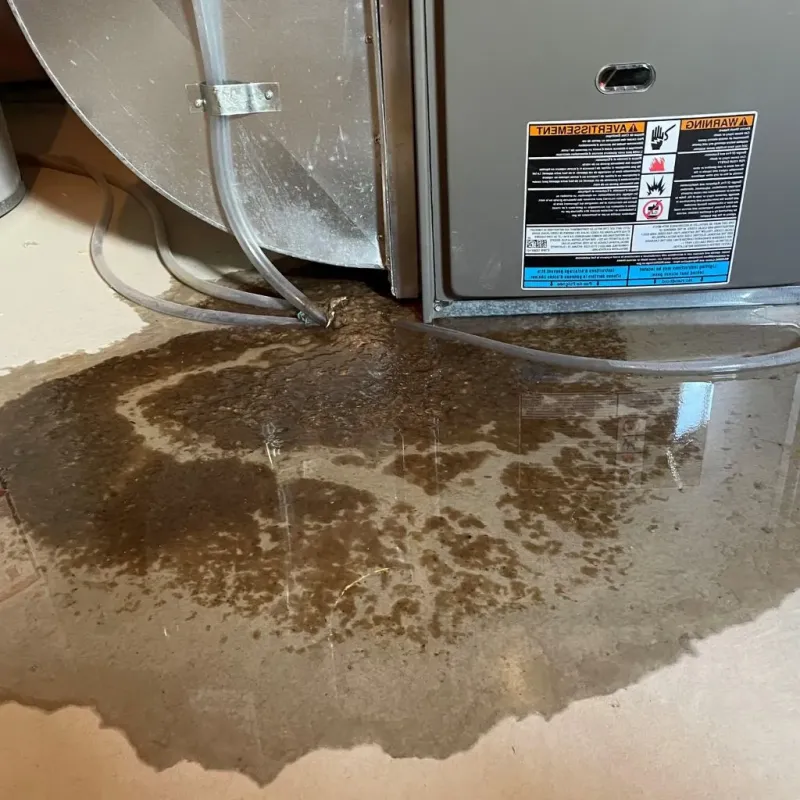 Pipe Burst and Leak Restoration in Guilford County, NC