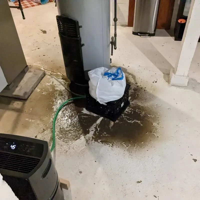 Sewage Backup Cleanup Service in Guilford County, NC